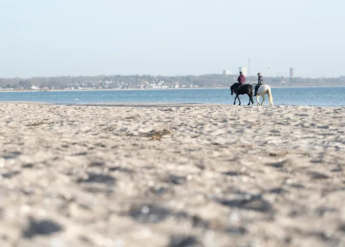 Apartment Wohnpark Am Muehlenteich - 33 Timmendorfer Strand